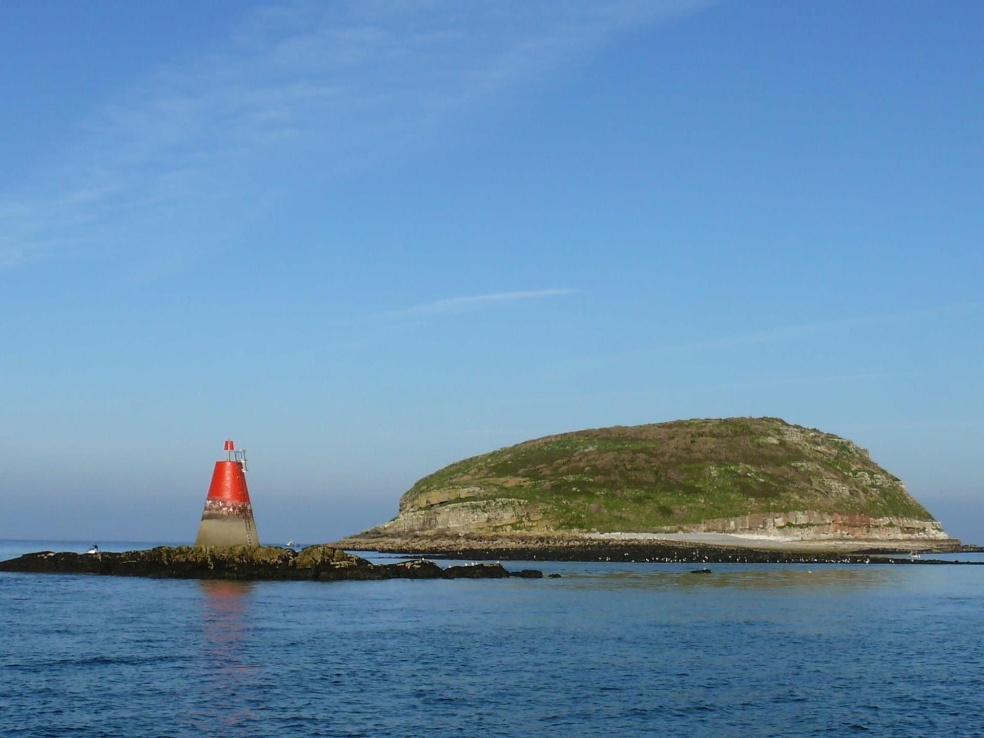 Puffin Island, Anglesey,Wales